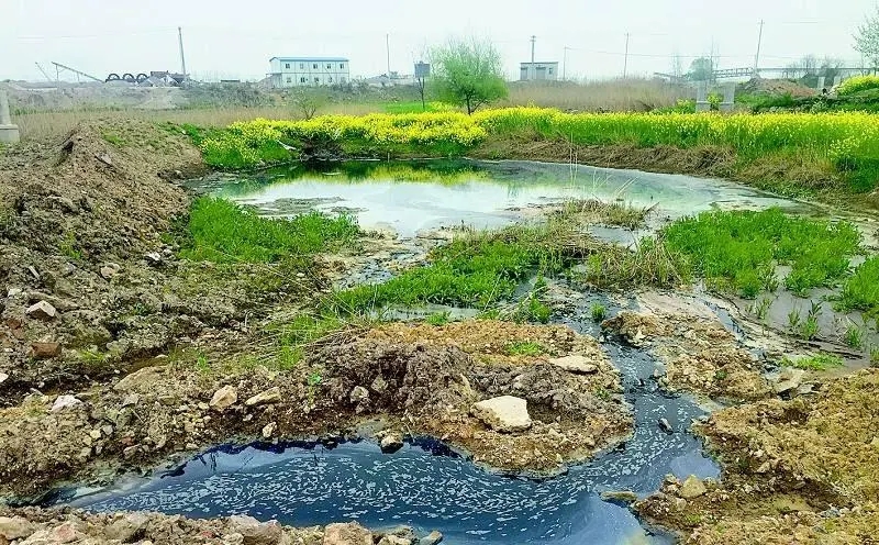 黑龍江省2024年農(nóng)村生活污水、黑臭水體治理工作方案出爐！