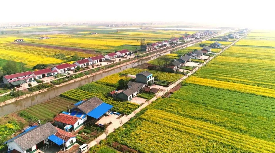 兩部門印發(fā)《關(guān)于進一步推進農(nóng)村生活污水治理的指導意見》